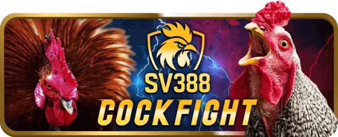 Chơi có trách nhiệm tại trang game momo