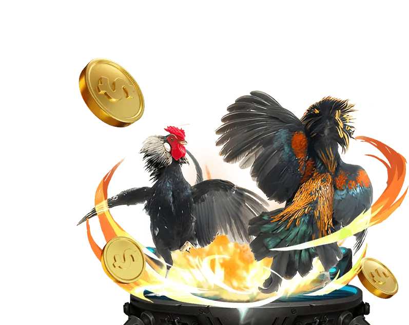 Cá cược bóng rổ tại trang game momo